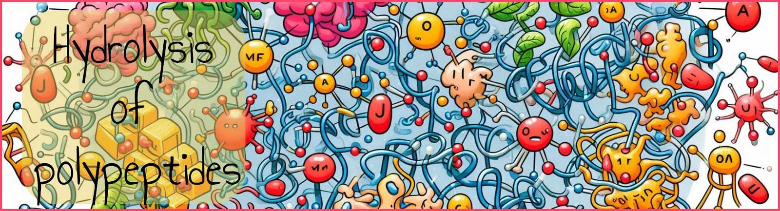 Hydrolysis of polypeptides header image